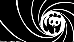 Panda bears