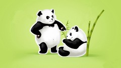 Panda bears