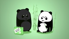 Panda bears