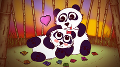 Panda bears couple condoms