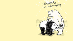 Panda bears Polar Bears