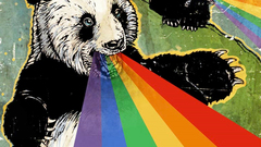 Panda bears rainbows