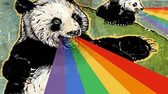 Panda bears rainbows puke