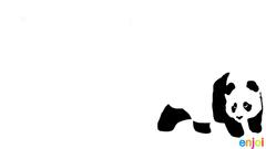 Panda Bears saved Animals