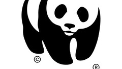 Panda bears World Wildlife Fund