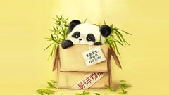 Panda bears yellow background