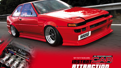 Panda trueno cars rice