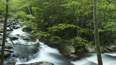 Panorama waterfalls rocks Tennessee rivers forests great smoky 