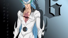 Pantera bleach Espada grimmjow jaegerjaquez