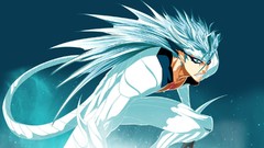 Pantera bleach Espada grimmjow jaegerjaquez