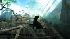 Panthers sunlight feline artwork