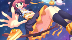 Panties nekomimi animal ears