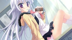 Panties sakura seifuku