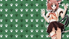 Panties school uniforms nekomimi