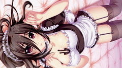 Panties stockings maids visual