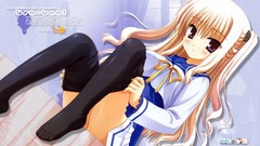 Pantyhose bra muririn