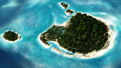 Papers ) With seasonal