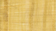 Papyrus blatt yup high