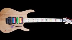 Paradise guitars USA Music