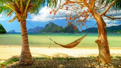 Paradise hammock Beaches ocean