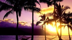 Paradise Hawaii travel Kauai afternoon