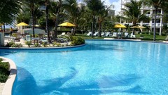 Paradise Hotel palm trees swimming pools