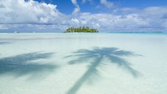 Paradise Islands palm trees Tahiti