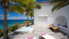 Paradise palm trees swimming