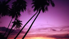 Paradise Polynesia French Tahiti sailing high Resolution