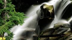 Paradise river waterfall Washington