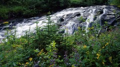 Paradise Washington mount national park