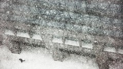 Paris monochrome christophe jacrot