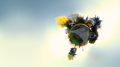 Park panorama sup high