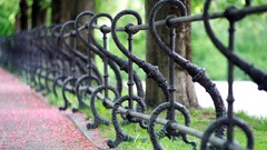 Park railing fences depth of field