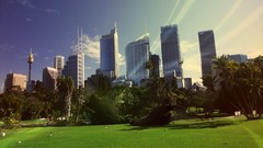 Park Sydney daylight cities