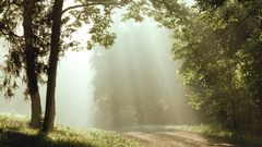 Park Tennessee percy sunbeams warner