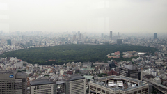 Park Tokyo over from img tmg yoyogi