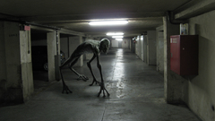 Parking high Resolution anguish loboto