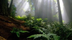 Parks national park National