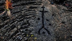 Parks national park National