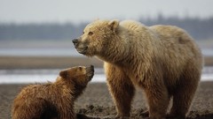 Parks national park National