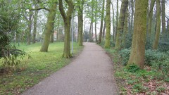 Parks roadway forests desolate