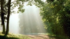 Parks sunlight Tennessee