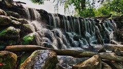 Parks water rocks moss