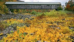 Parks York covered bridge
