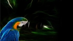 Parrots Fractalius