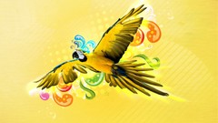 Parrots Photo manipulation