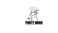 Party cat animal
