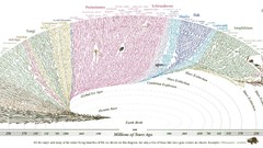 Past Information Timeline Dinosaurs ancient prehistoric info 