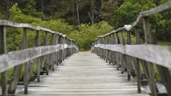 Path Bridge architecture